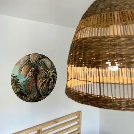 “sweet Boho Penthouse” In Center